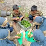 Projek Penguatan Profil Pelajar