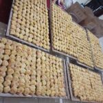 WhatsApp Image 2025-11-02 at 15.29.31_ef041de5